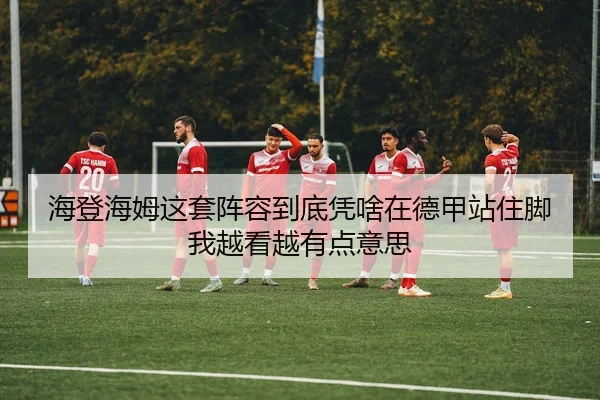 海登海姆这套阵容到底凭啥在德甲站住脚 我越看越有点意思