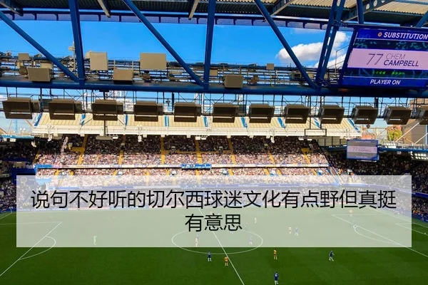 shuo-ju-bu-hao-ting-de-qie-er-xi-qiu-mi-wen-hua-you-dian-ye-dan-zhen-ting-you-yi-si-2-217.jpg