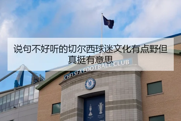 说句不好听的切尔西球迷文化有点野但真挺有意思