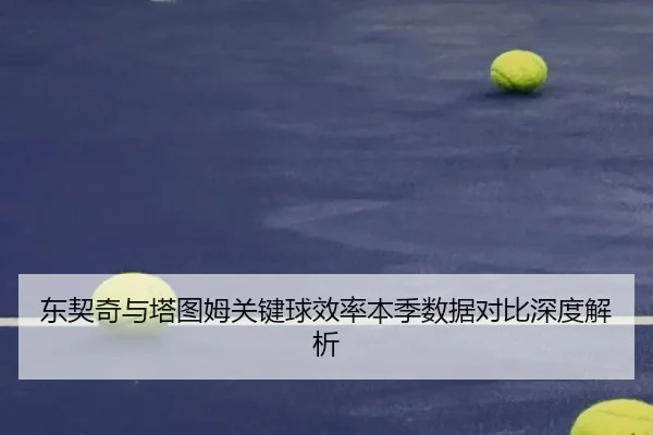 东契奇与塔图姆关键球效率本季数据对比深度解析