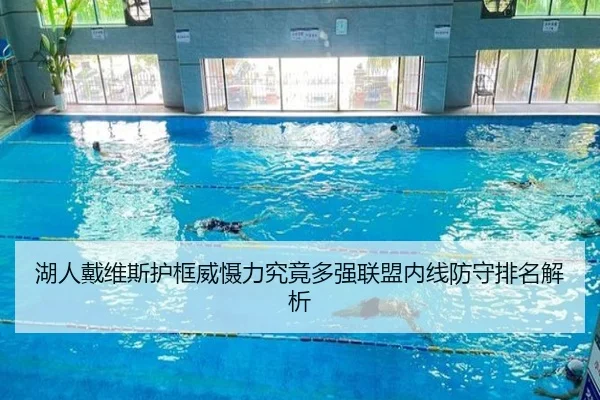湖人戴维斯护框威慑力究竟多强联盟内线防守排名解析